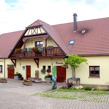 Les Chambres Du Vignoble Ammerschwihr Esterno foto