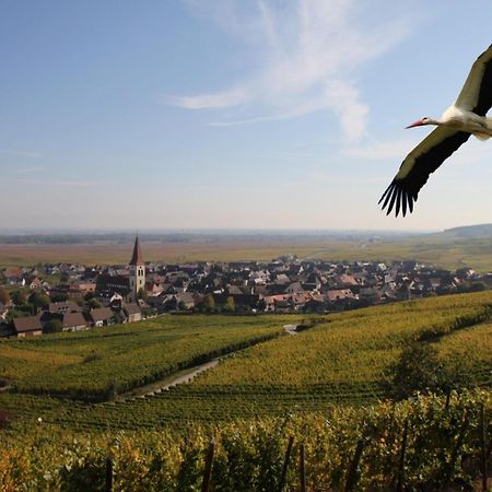 Les Chambres Du Vignoble Ammerschwihr Esterno foto