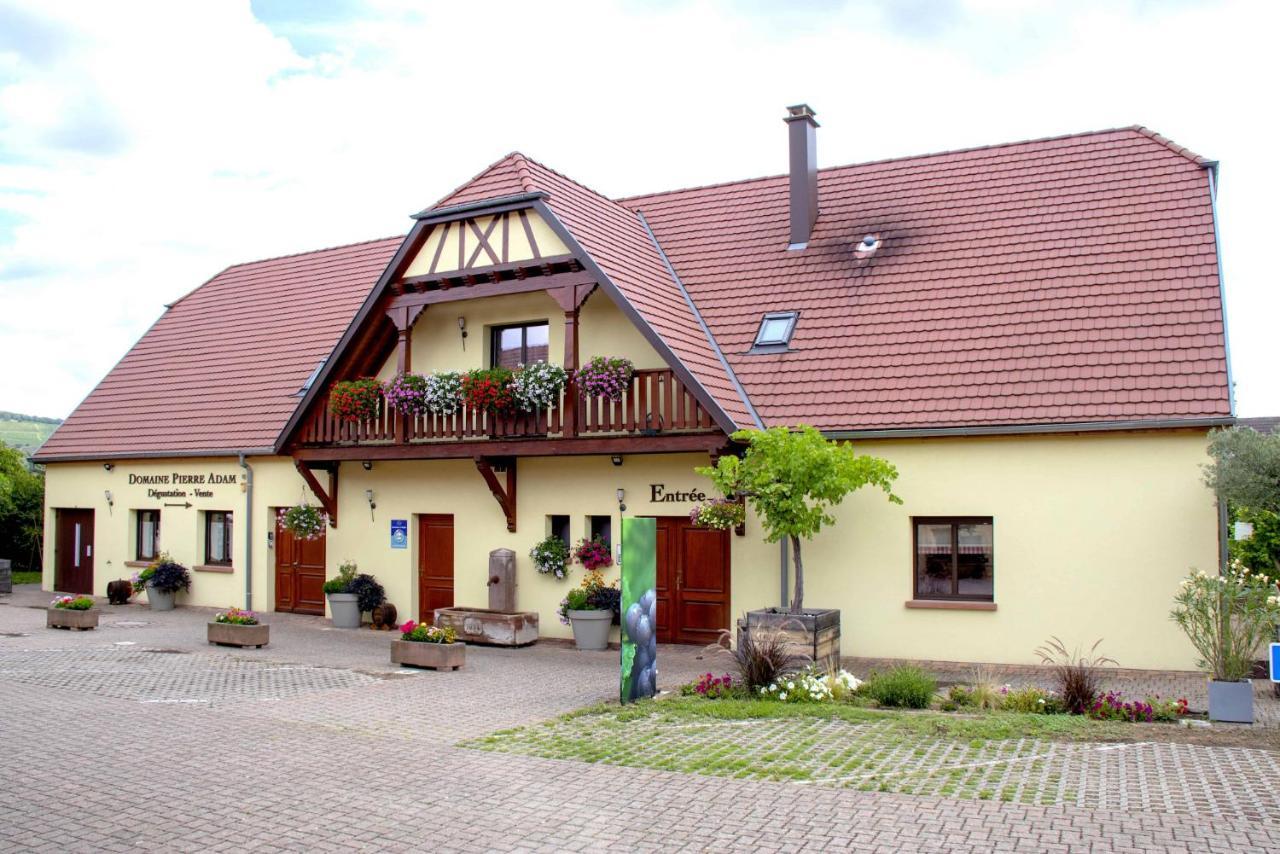 Les Chambres Du Vignoble Ammerschwihr Esterno foto