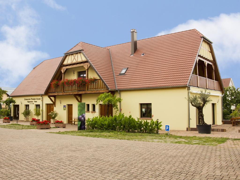 Les Chambres Du Vignoble Ammerschwihr Esterno foto